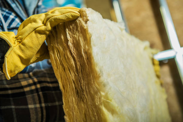 Best Insulation Installation Services in Kannapolis, NC